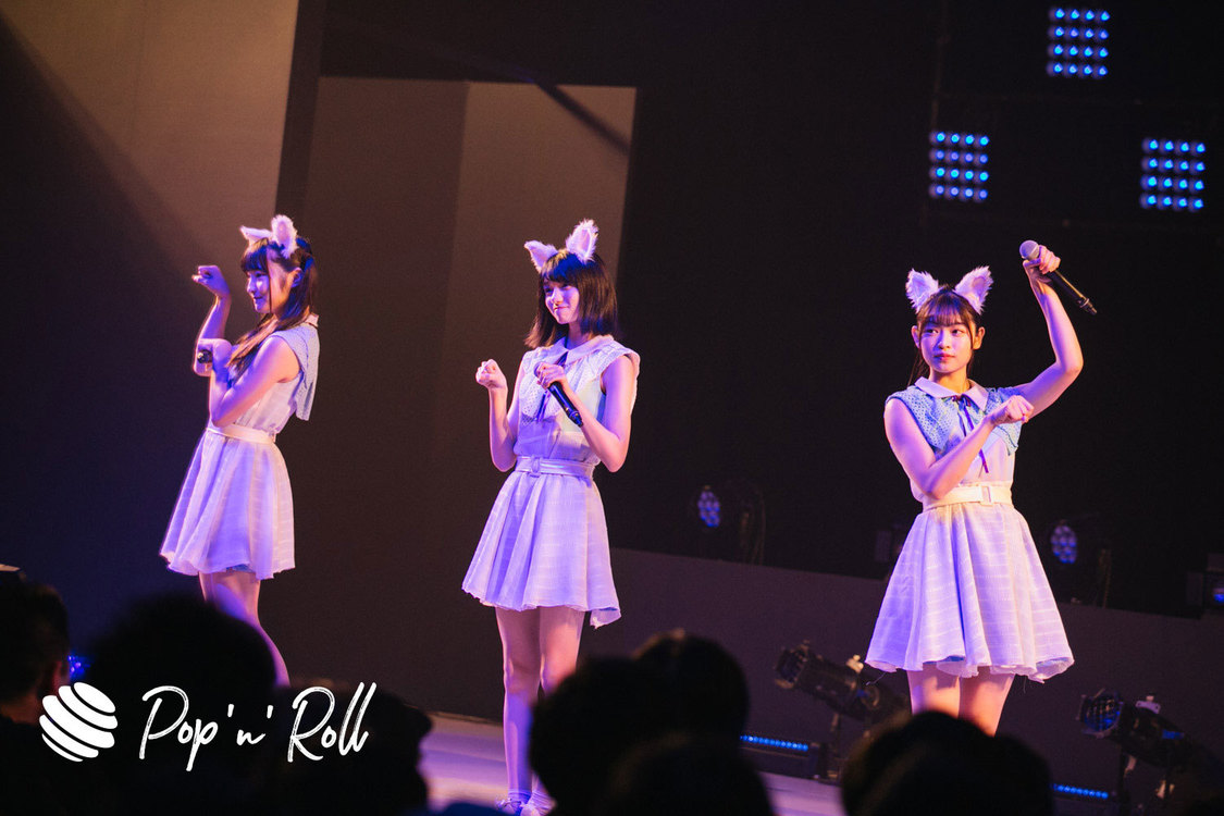 Task have Fun×わーすた ＜TOKYO IDOL FESTIVAL 2019＞｜ DOLL FACTORY（17:20-）