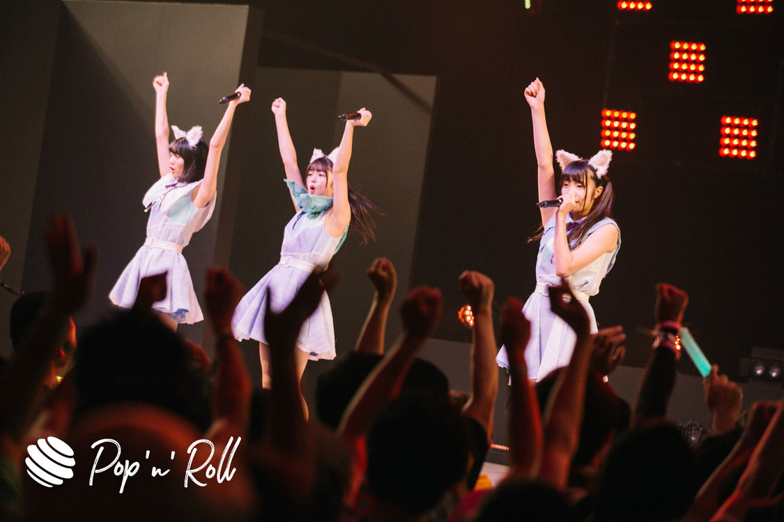 Task have Fun×わーすた ＜TOKYO IDOL FESTIVAL 2019＞｜ DOLL FACTORY（17:20-）