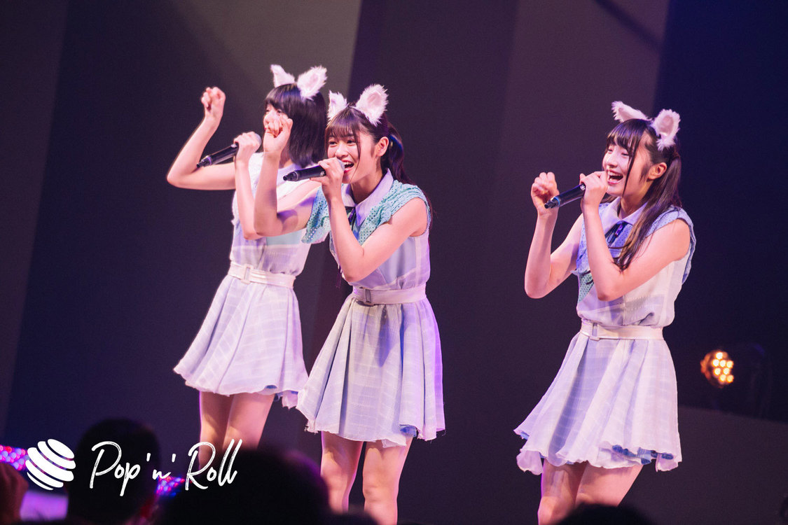 Task have Fun×わーすた ＜TOKYO IDOL FESTIVAL 2019＞｜ DOLL FACTORY（17:20-）