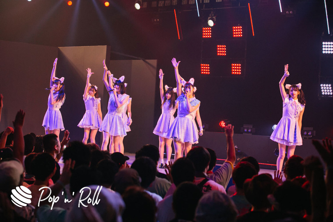 Task have Fun×わーすた ＜TOKYO IDOL FESTIVAL 2019＞｜ DOLL FACTORY（17:20-）