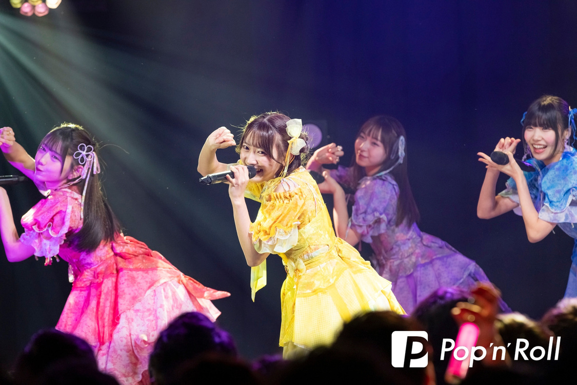 SWEET STEADY＜Pop'n'Roll Fes vol.2＞Veats Shibuya（2025年2月1日）