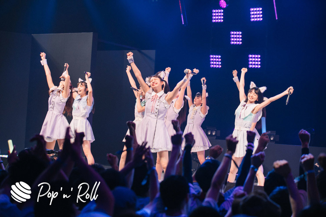 Task have Fun×わーすた ＜TOKYO IDOL FESTIVAL 2019＞｜ DOLL FACTORY（17:20-）