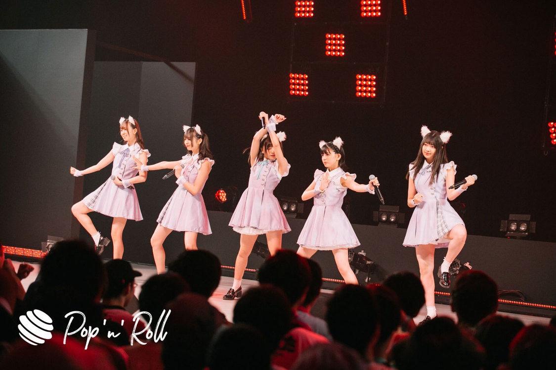 Task have Fun×わーすた ＜TOKYO IDOL FESTIVAL 2019＞｜ DOLL FACTORY（17:20-）