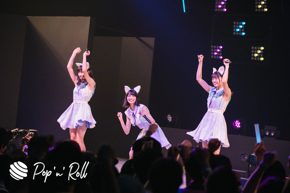 Task have Fun×わーすた ＜TOKYO IDOL FESTIVAL 2019＞｜ DOLL FACTORY（17:20-）