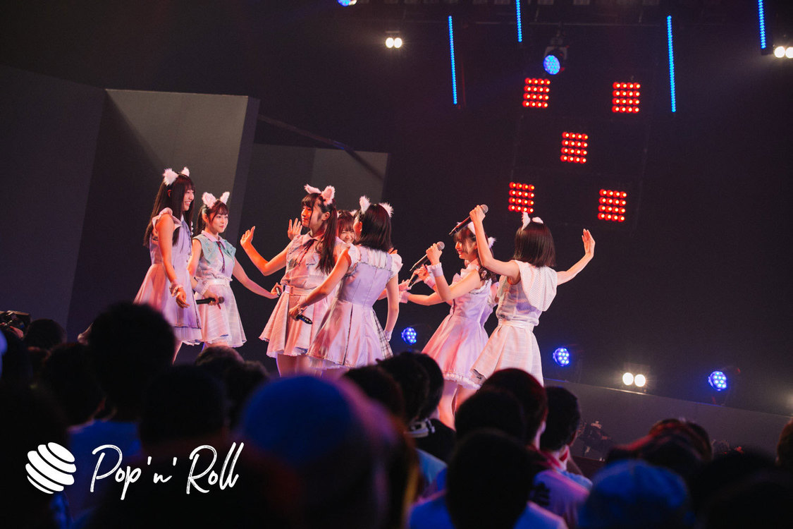 Task have Fun×わーすた ＜TOKYO IDOL FESTIVAL 2019＞｜ DOLL FACTORY（17:20-）