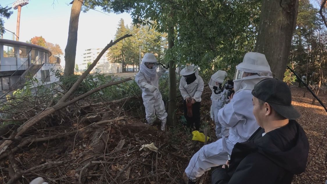 駆除せよ！真冬の蜂軍団