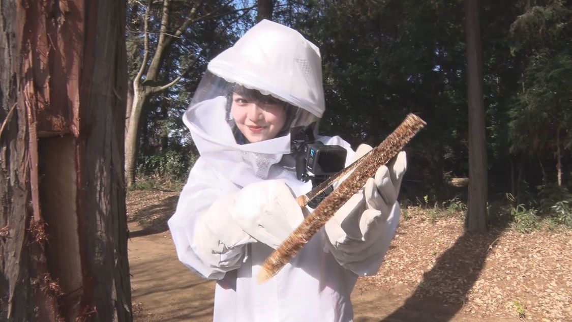 駆除せよ！真冬の蜂軍団