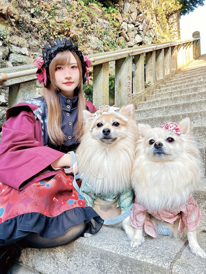 すみれおじさん