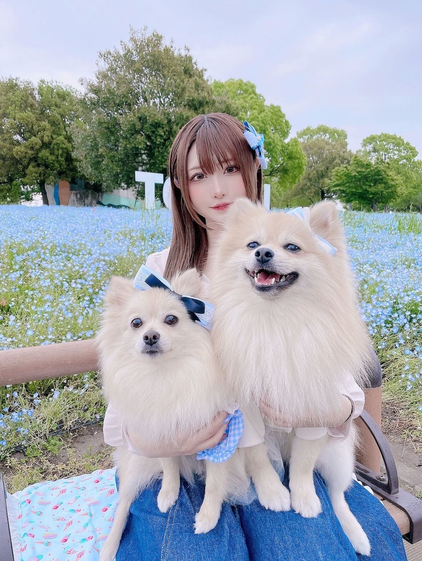 すみれおじさん