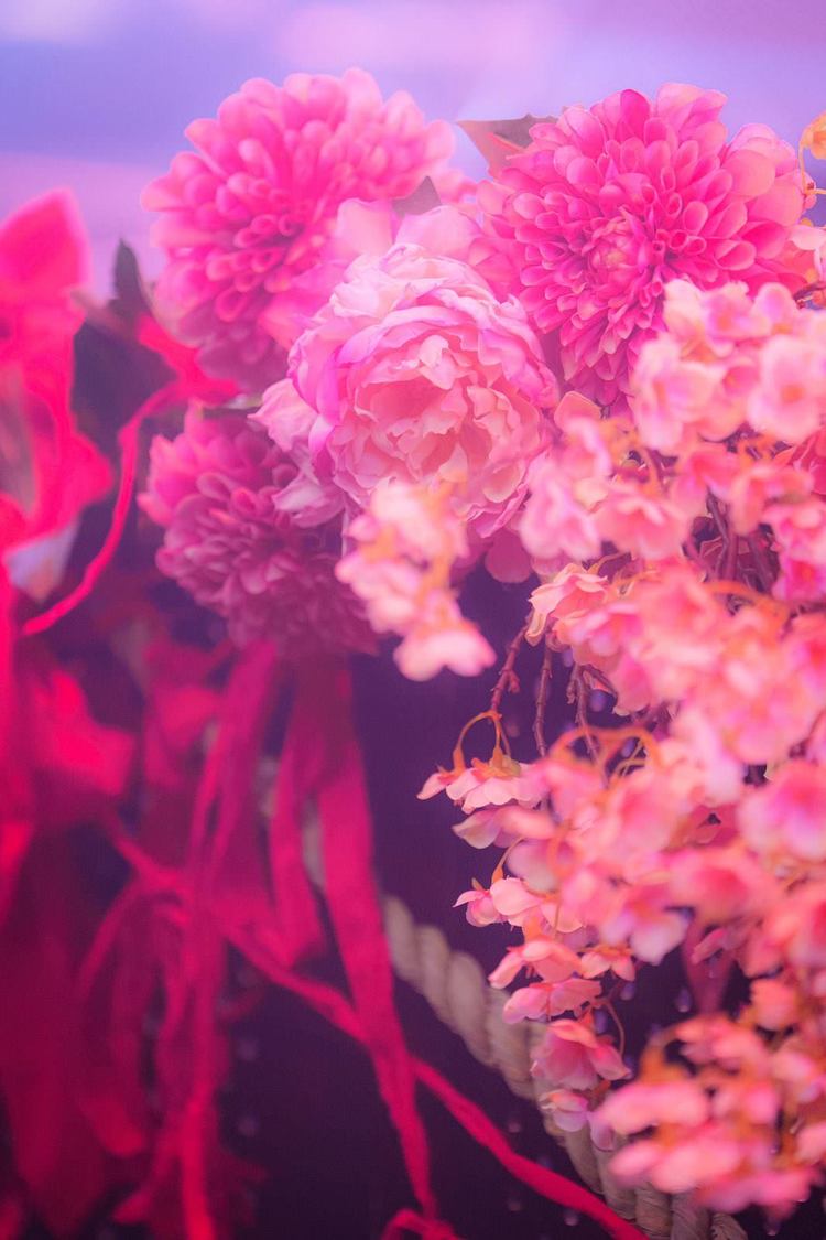 マザリ＜東名阪呪礼ツアー『白装束ト藁人形』＞WOMBLIVE（2025年3月10日）