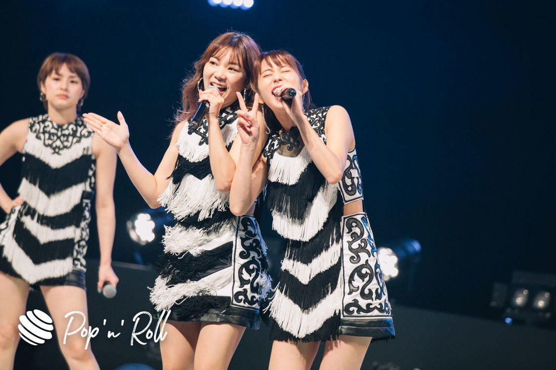 predia ＜TOKYO IDOL FESTIVAL 2019＞｜8/3 DOLL FACTORY（10:45-）