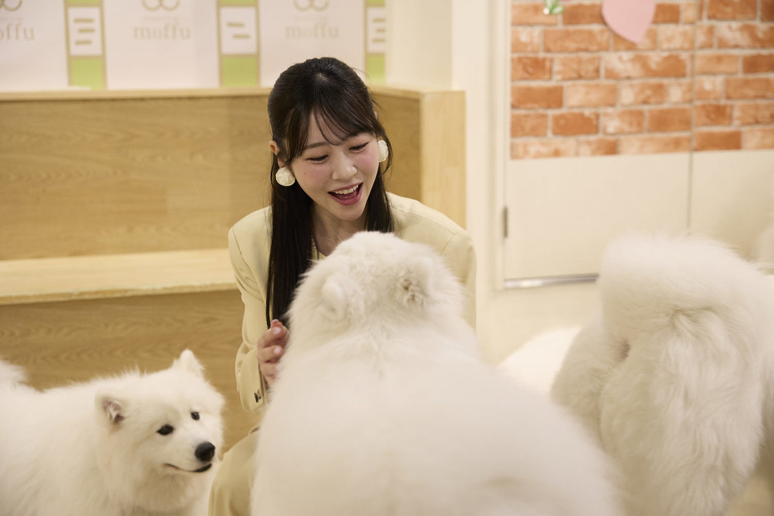 ©️「あそばにゃそんそん」製作委員会