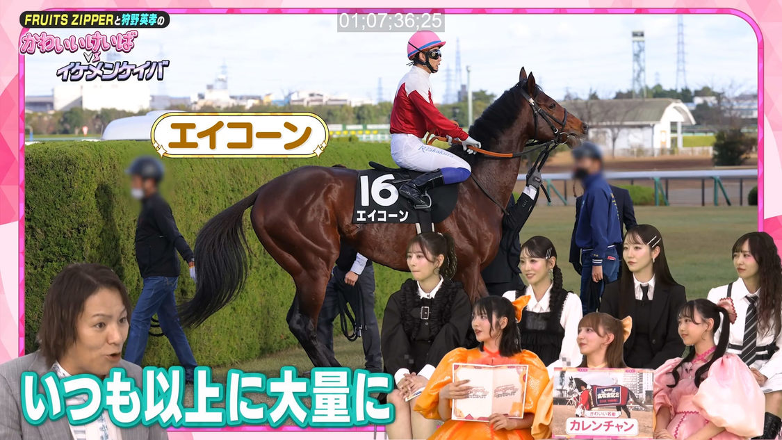 バラエティ動画「かわいいけいばVSイケメンケイバ」