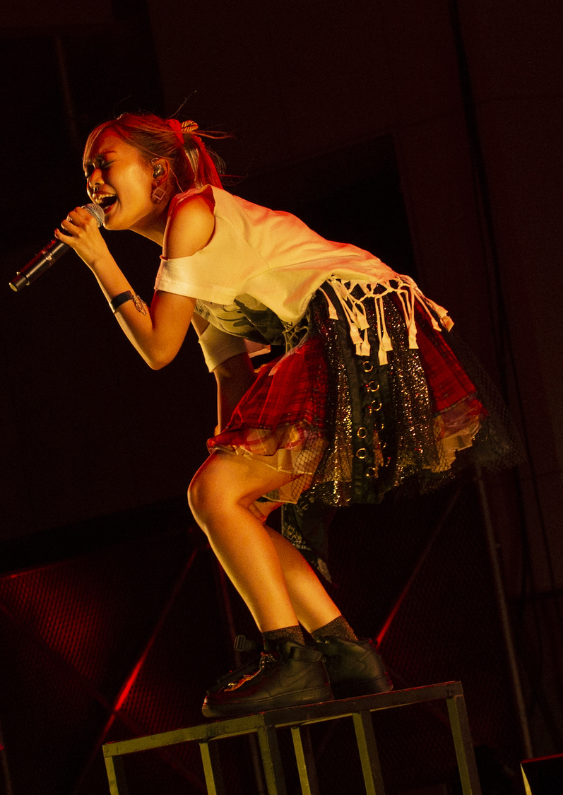 ＜全虎が啼いた！伝説の最高雷舞（クライマックス）＞より