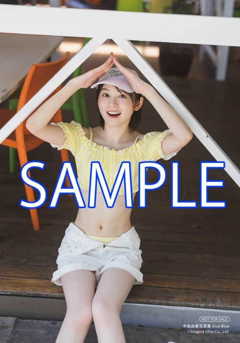 【AKIHABARAゲーマーズ本店・池袋店・通販共通】限定ブロマイド