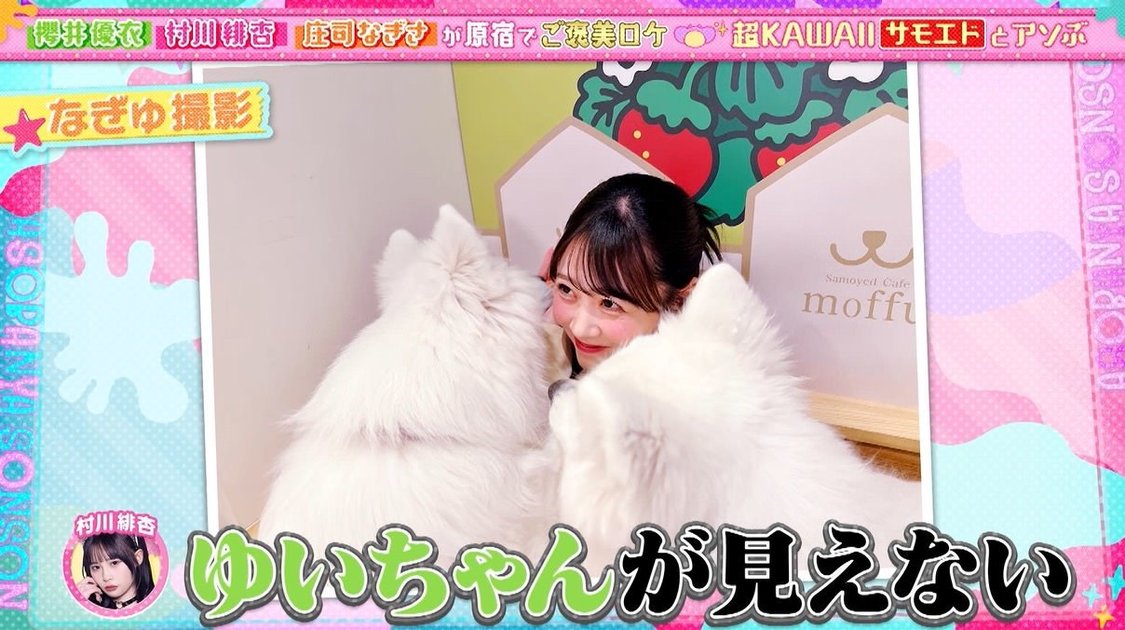 ©️「あそばにゃそんそん」製作委員会