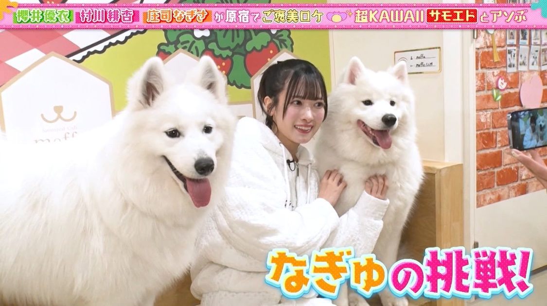 ©️「あそばにゃそんそん」製作委員会