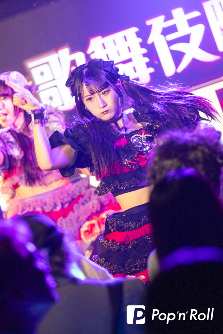 可愛いって言わないと呪う！＜歌舞伎町UP GATE↑↑2025＞DHNoA（2025年5月5日）