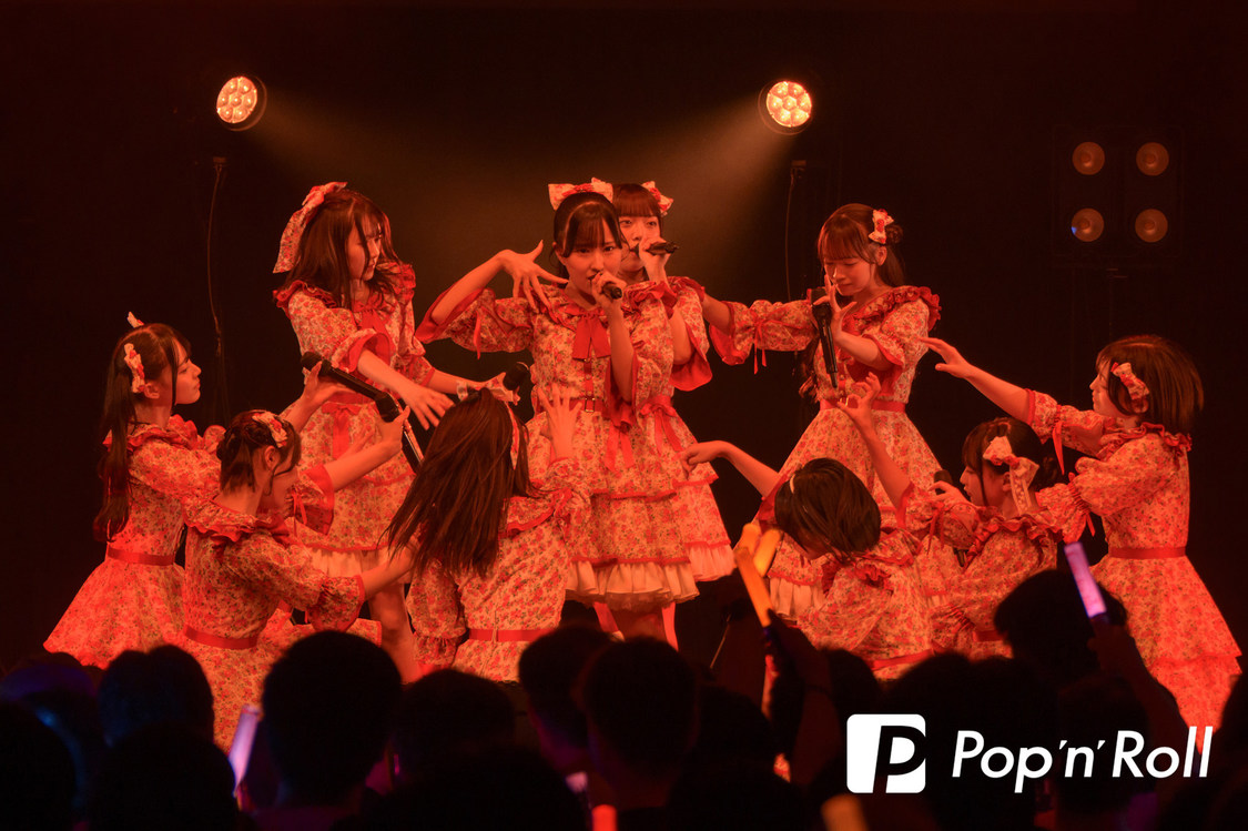 高嶺のなでしこ＜歌舞伎町UP GATE↑↑2025＞Zepp Shinjuku(TOKYO)（2025年5月4日）