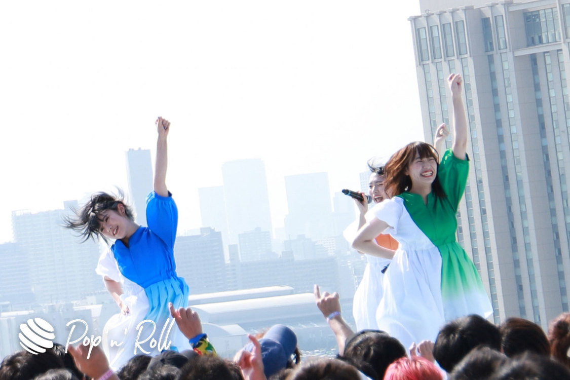 monogatari ＜TOKYO IDOL FESTIVAL 2019＞｜8/3 SKY STAGE（14:55-）