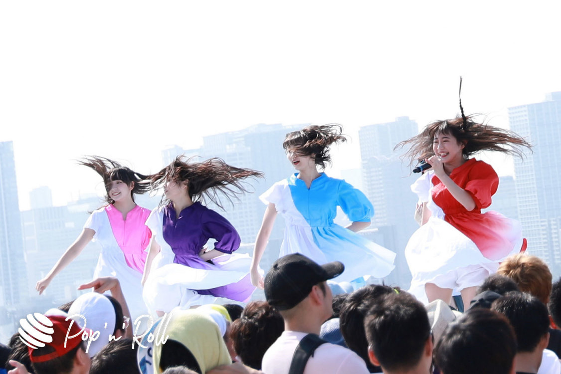 monogatari ＜TOKYO IDOL FESTIVAL 2019＞｜8/3 SKY STAGE（14:55-）