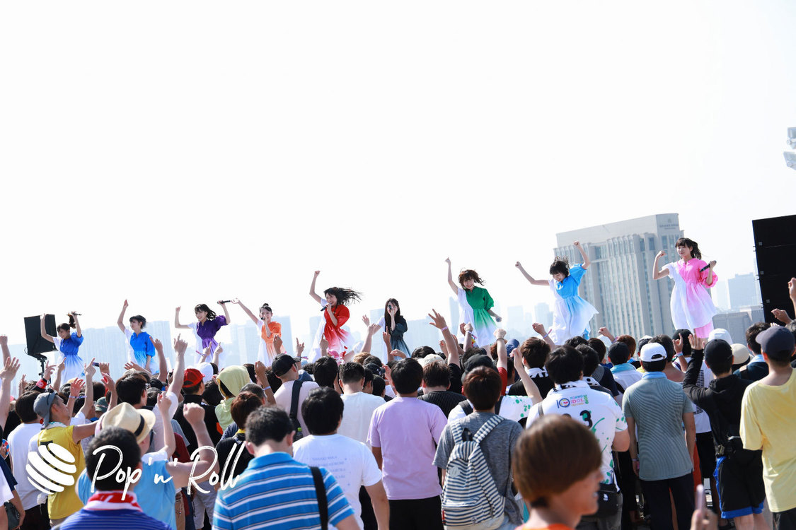 monogatari ＜TOKYO IDOL FESTIVAL 2019＞｜8/3 SKY STAGE（14:55-）