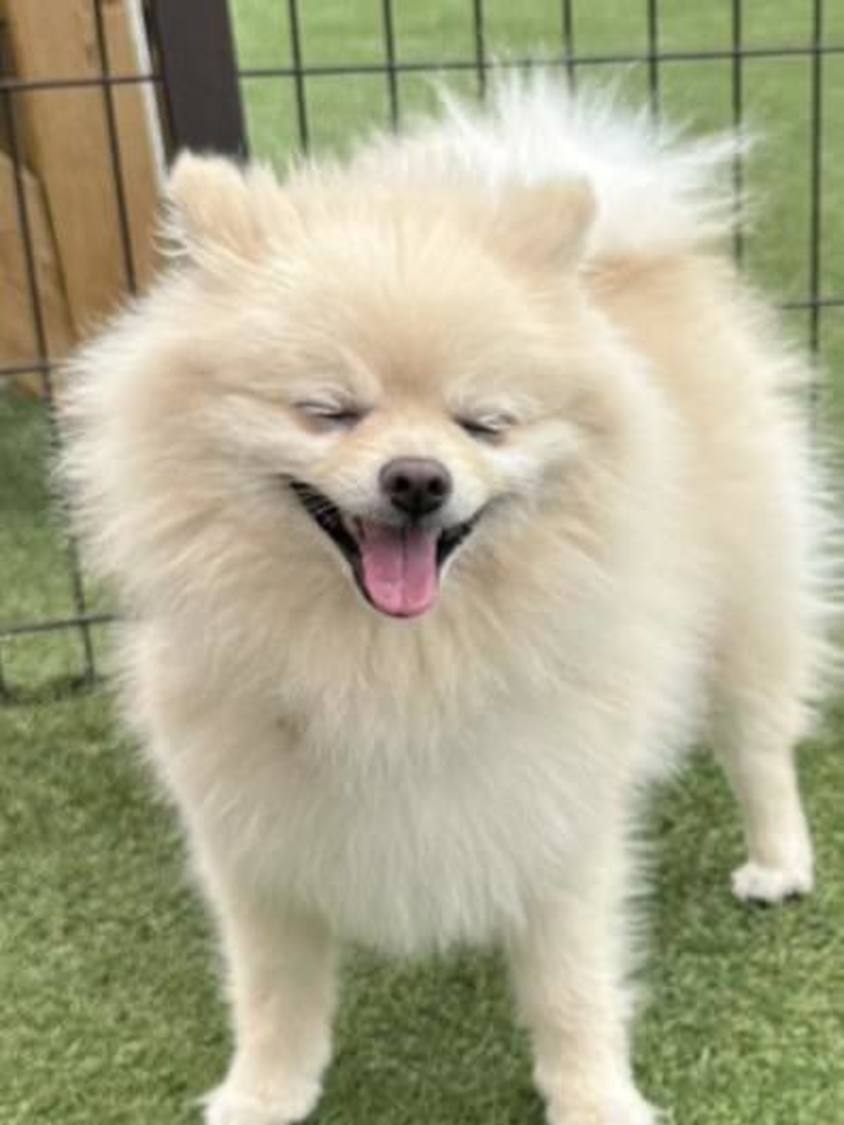 楽しそうでなにより！