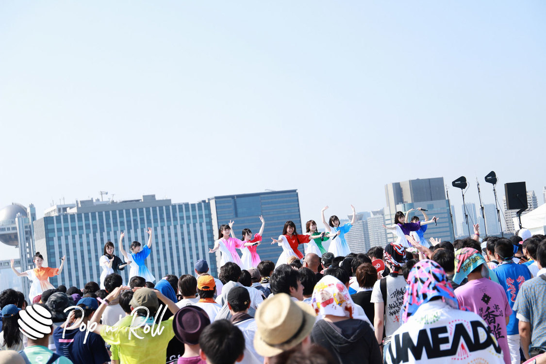 monogatari ＜TOKYO IDOL FESTIVAL 2019＞｜8/3 SKY STAGE（14:55-）