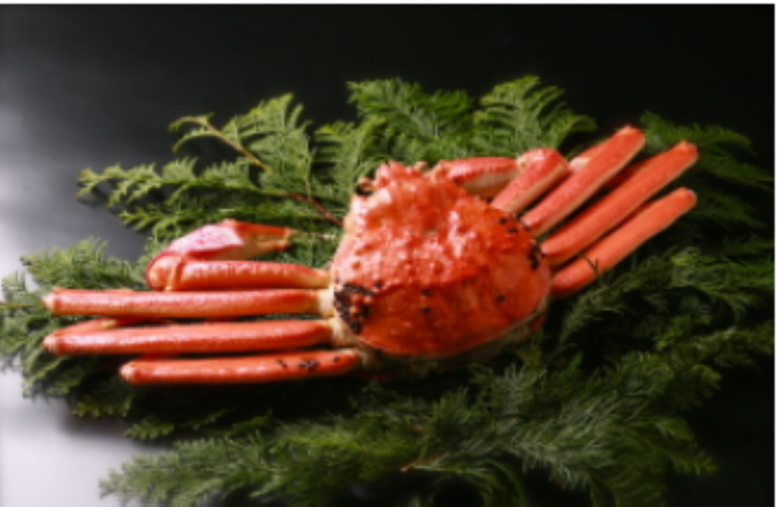 鳥取県産松葉がに