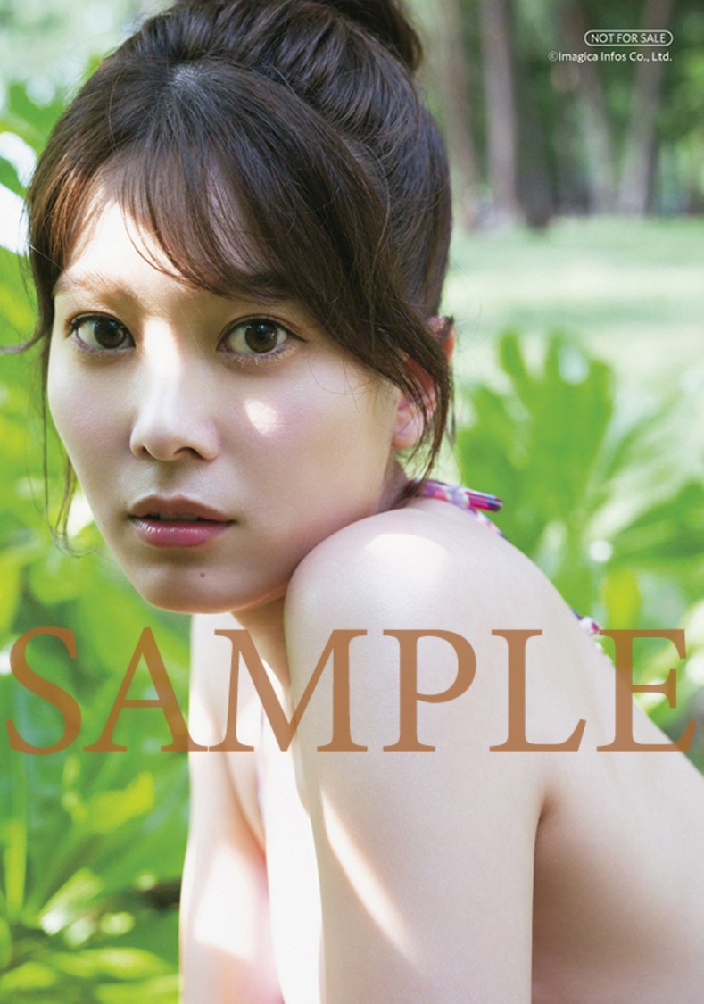 ビックカメラグループ特典：L判ブロマイド