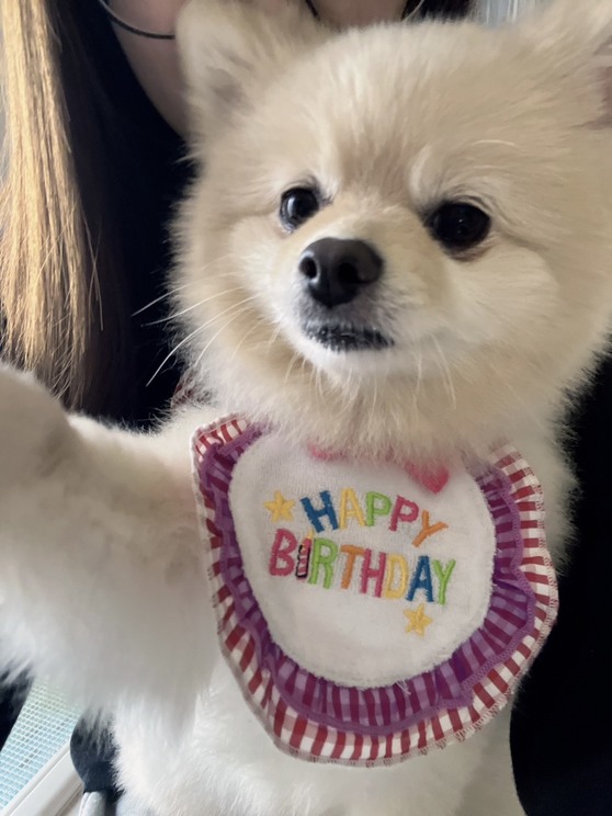 5歳になったきなちゃん