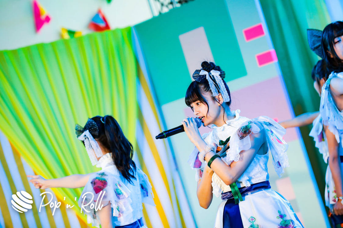 マジカル・パンチライン ＜TOKYO IDOL FESTIVAL 2019＞｜8/4 FUJI YOKO STAGE（10:30-）