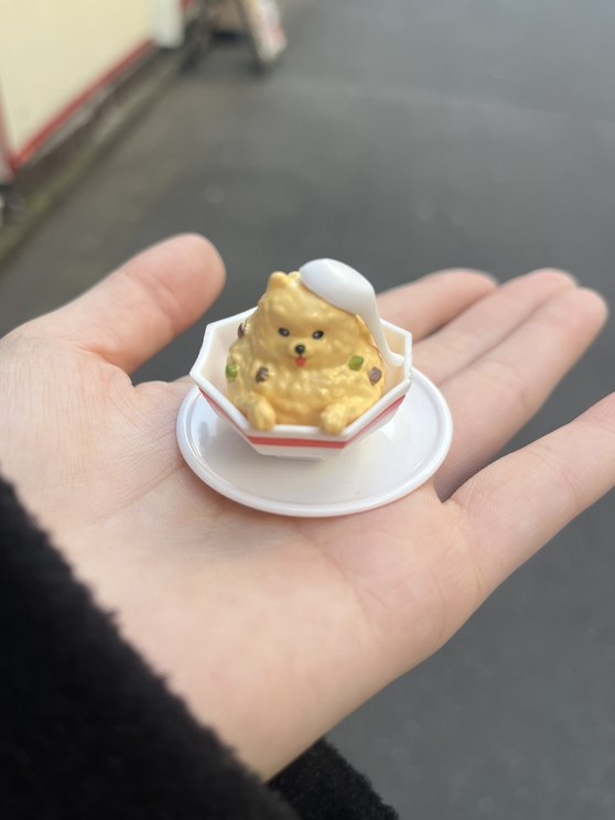 最近見つけた可愛いガチャガチャ