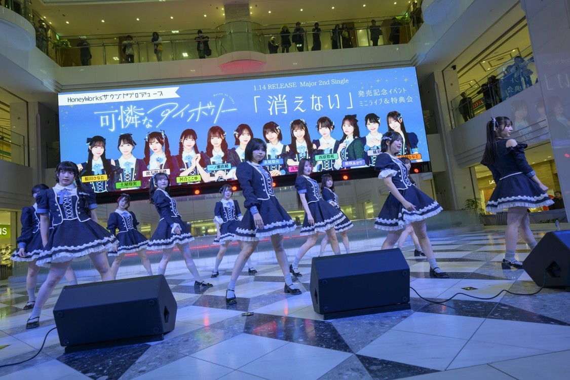 可憐なアイボリー　Photo by 林晋介