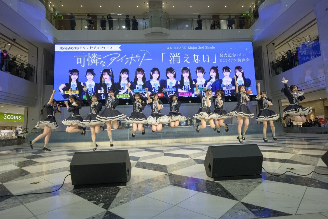 可憐なアイボリー　Photo by 林晋介