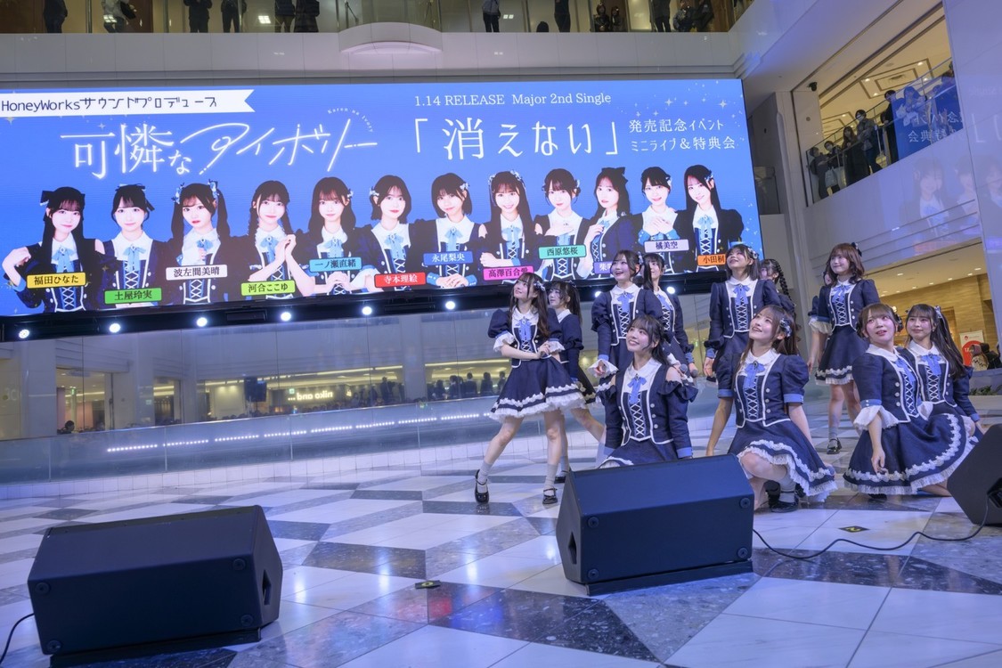 可憐なアイボリー　Photo by 林晋介