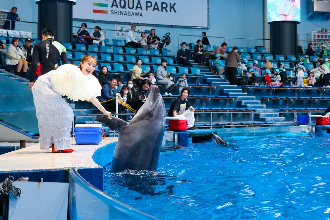 『マクセル アクアパーク品川』百田夏菜子