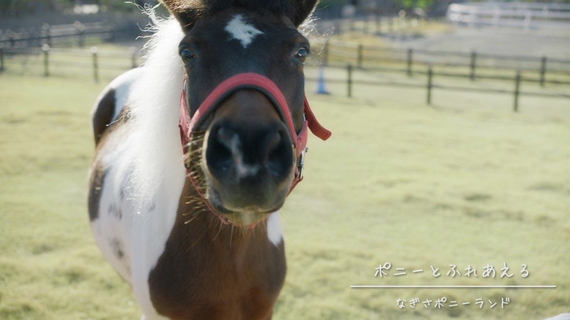 有村架純「Find my Tokyo.」