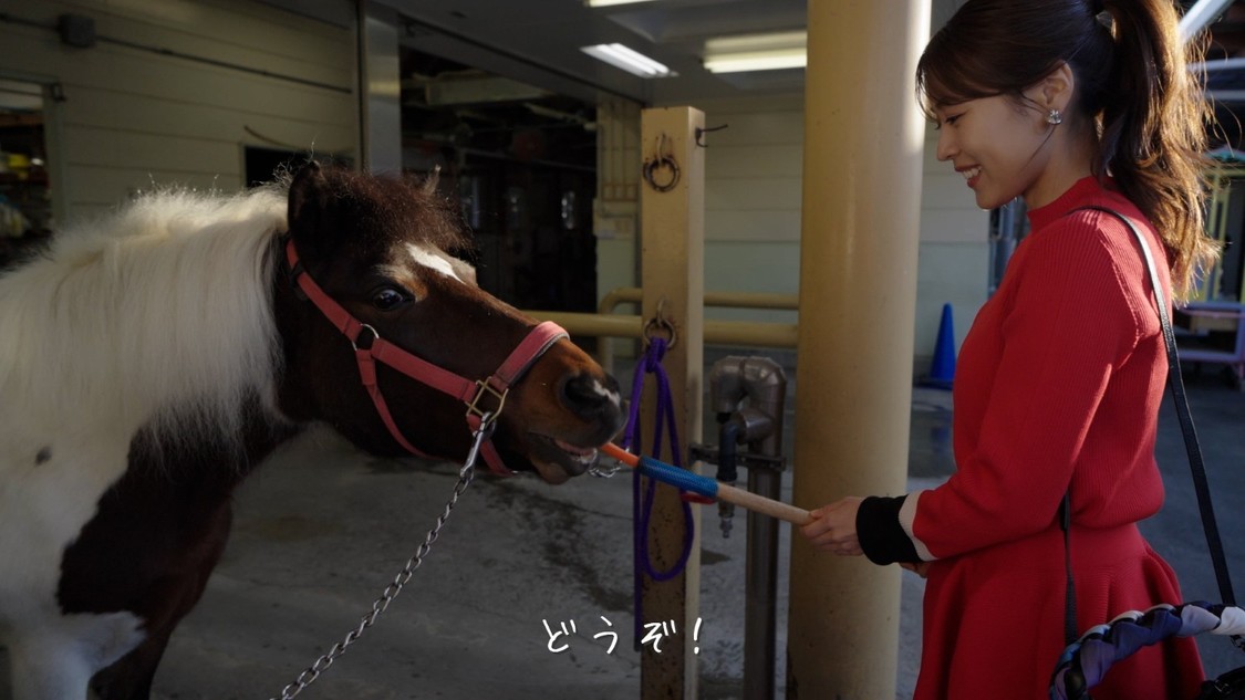 有村架純「Find my Tokyo.」