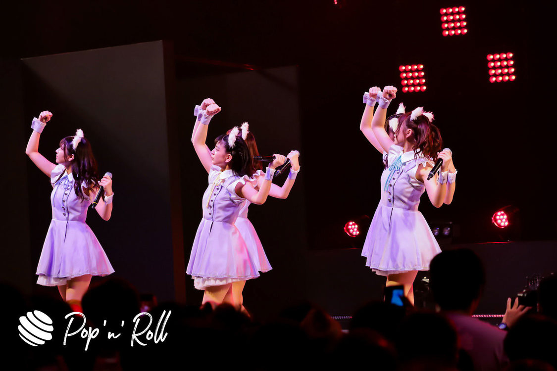 わーすた ＜TOKYO IDOL FESTIVAL 2019＞｜8/4 DOLL FACTORY（13:35-）