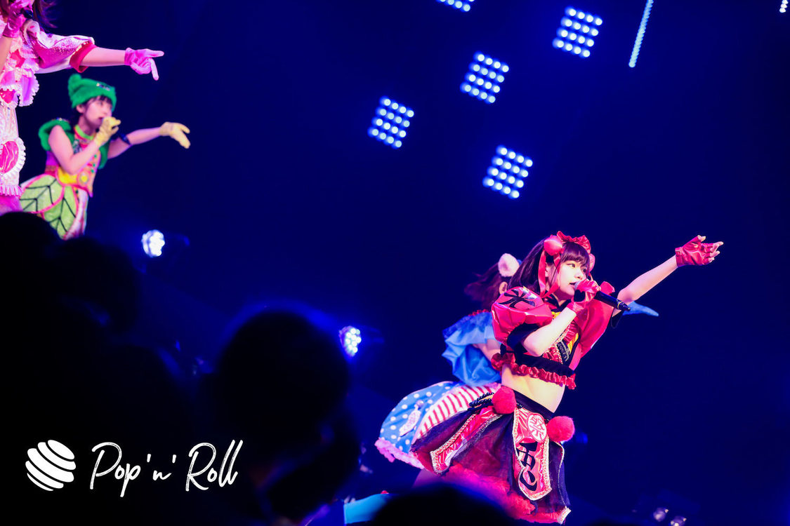 FES☆TIVE ＜TOKYO IDOL FESTIVAL 2019＞｜8/4 DOLL FACTORY（18:45-）