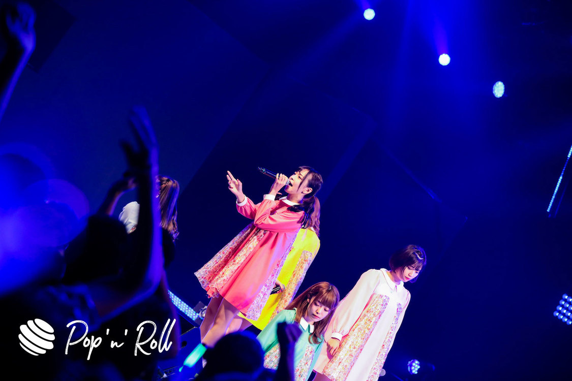 神宿 ＜TOKYO IDOL FESTIVAL 2019＞｜8/4 DOLL FACTORY（19:00-）