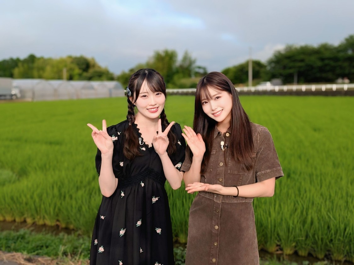 ©AKB48