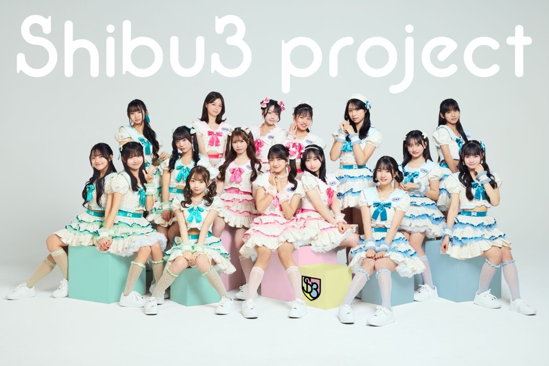 Shibu3 project