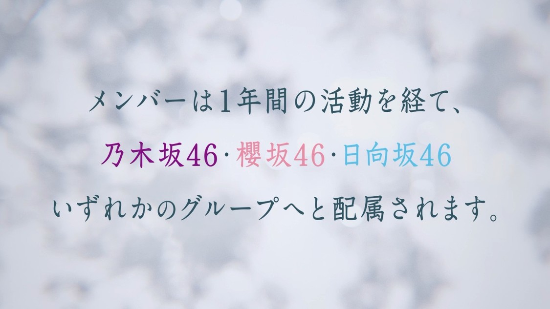 「青葉坂46 オーディション告知 Movie」カット画像