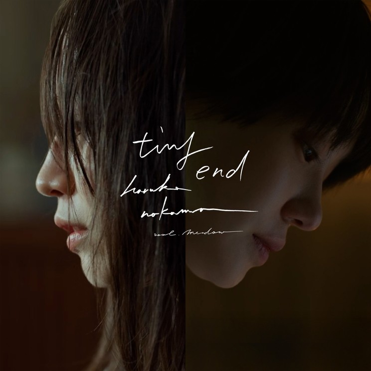 haruka nakamura、吉岡里帆と奈緒がW主演の映画『シャドウワーク』主題歌「tiny end」を9月18日リリース！