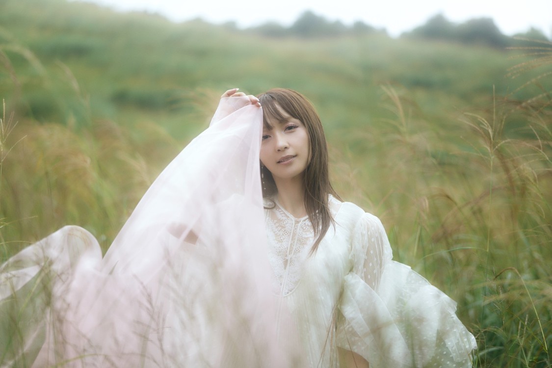 Dream Ami　