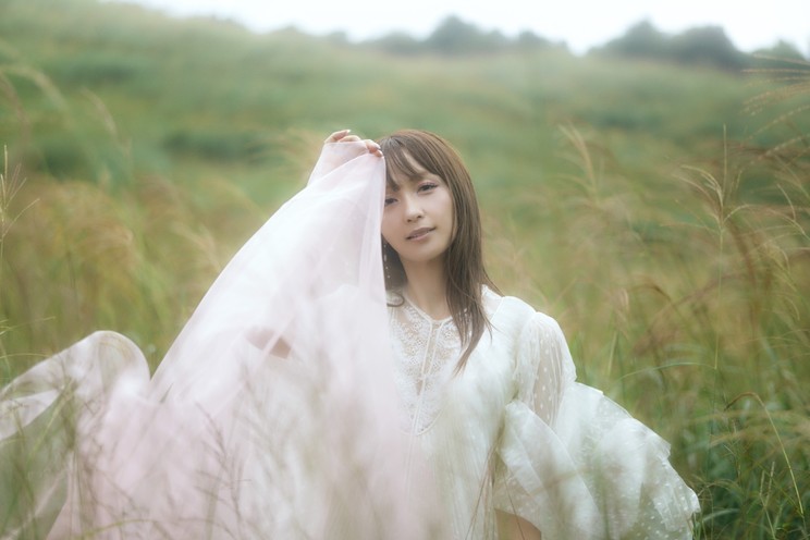 Dream Ami