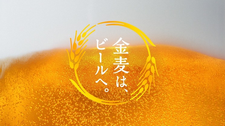 檀れい「交差点で」篇 CMカット
