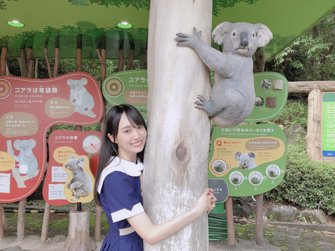 賀喜遥香（乃木坂46）